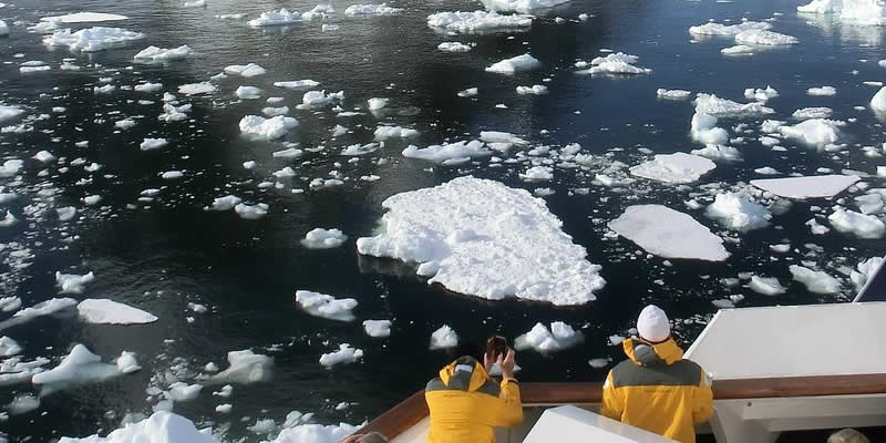 Antartic